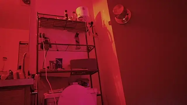 SlammyDjr online show from 03-03-26, 11:28