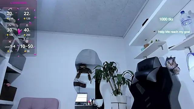 emily palmeer online show from 10-06-25, 10:27