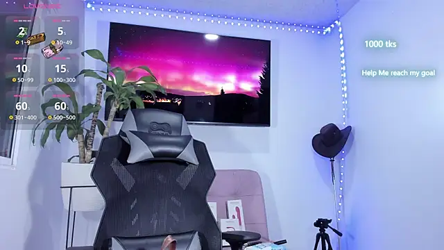 emily palmeer online show from 02-05-26, 10:11