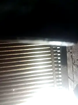 Huebolocko online show from 12-29-24, 06:56