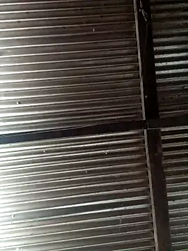 Huebolocko online show from 12-03-24, 06:22