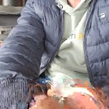 Snapshot of Lumpi1988A chatting on 02-19-26, 11:40 Lumpi1988A online show from 02-19-26, 11:40