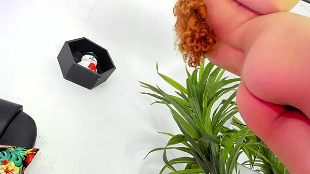 Medusa velvet online show from 12-06-24, 01:57