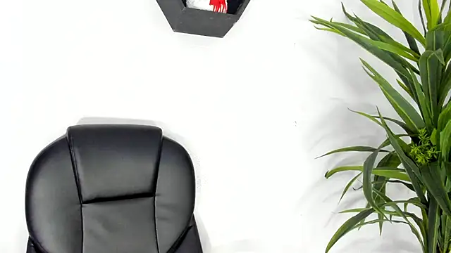 Medusa velvet online show from 12-11-24, 11:00