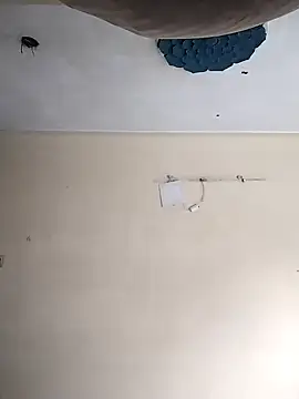 heartless  95 online show from 10-20-25, 03:30