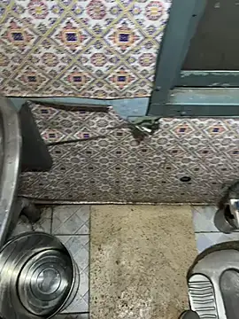 A-mira online show from 03-06-25, 06:48