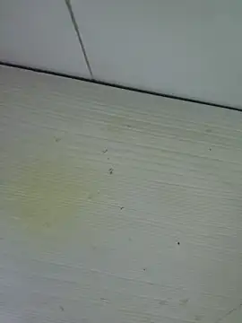 Nyx nayla online show from 11-01-25, 08:19