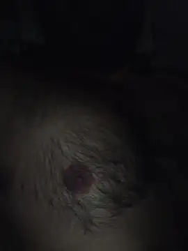 playboy 30 online show from 12-15-25, 06:58