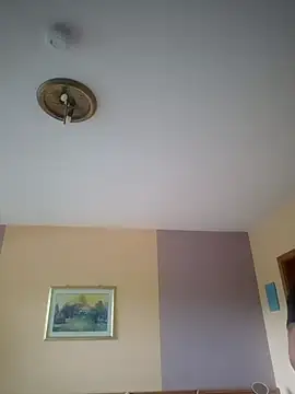 Snapshot of Marecki5231 chatting on 07-19-26, 07:28 Marecki5231 online show from 07-19-26, 07:28