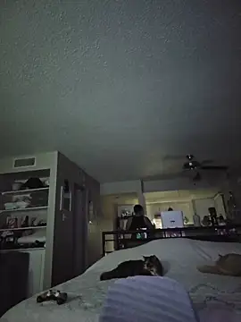 Snapshot of DevilDahm chatting on 02-09-26, 05:49 DevilDahm online show from 02-09-26, 05:49