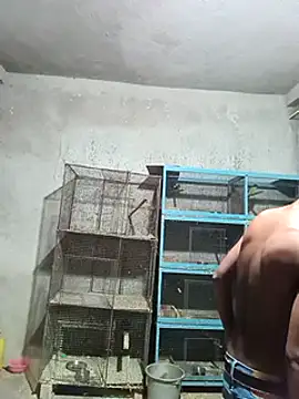 Snapshot of NICK_IN chatting on 02-01-25, 03:28 NICK IN online show from 02-01-25, 03:28