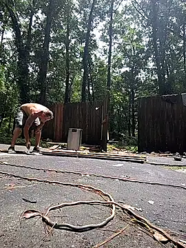Buffshagswell online show from 07-21-26, 04:41