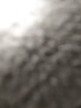 reelciii21 online show from 01-21-25, 03:54