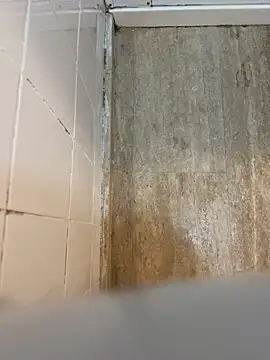 reelciii21 online show from 03-23-25, 12:58