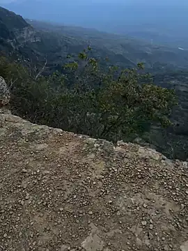 Snapshot of cataafitt chatting on 03-05-25, 11:16 cataafitt online show from 03-05-25, 11:16