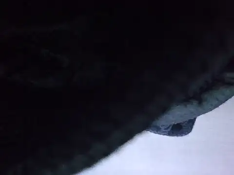 exmilitary online show from 02-15-26, 12:59