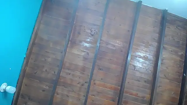 dante ferraraa online show from 09-12-25, 10:09