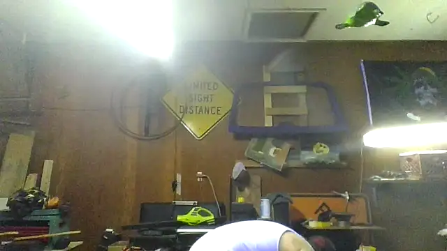 clitstitsandbongrips online show from 11-16-25, 12:04