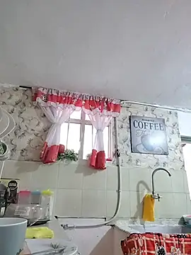 Dani pegin online show from 11-27-25, 01:11