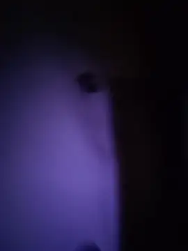 Dani pegin online show from 12-02-25, 01:02