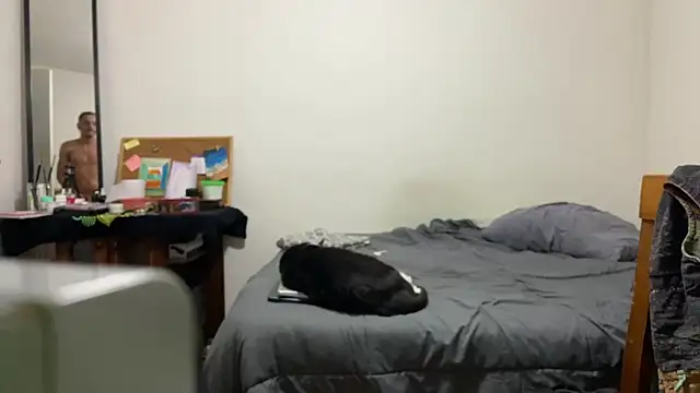 Snapshot of villanocat chatting on 12-20-24, 05:04 villanocat online show from 12-20-24, 05:04