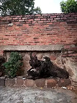 sweet outdoor charm online show from 11-27-25, 08:20