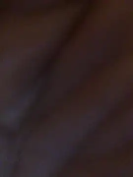 Inseminator69 online show from 12-14-24, 11:07