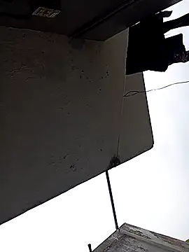 Andrapradesh online show from 10-13-25, 09:00