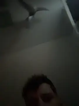 janberlin online show from 02-25-26, 08:03