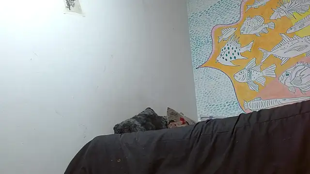 Party trans online show from 02-02-25, 01:12