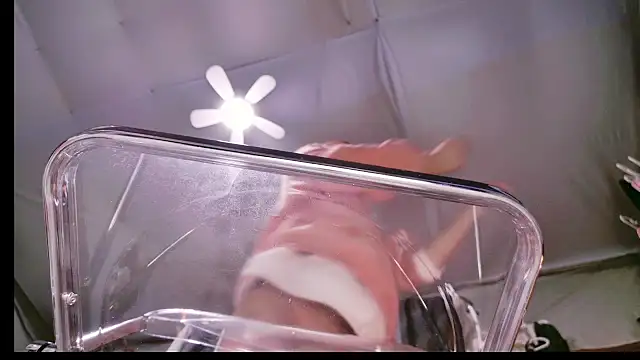 Im IVE LOVE online show from 12-14-24, 05:29