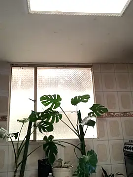 Miss oliviaa online show from 11-11-25, 01:06