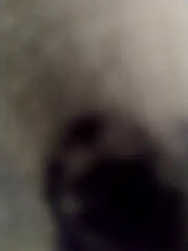 Snapshot of krishhyd69 chatting on 02-22-25, 03:01 krishhyd69 online show from 02-22-25, 03:01