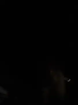 tipico0799 online show from 03-02-25, 01:37