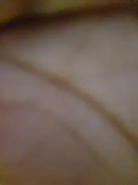 Drippincaty online show from 03-06-26, 04:35