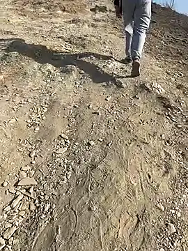 geroAguilar online show from 02-28-26, 12:49