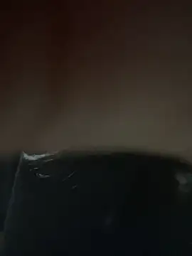 Snapshot of aylanaa chatting on 04-09-26, 04:03 aylanaa online show from 04-09-26, 04:03