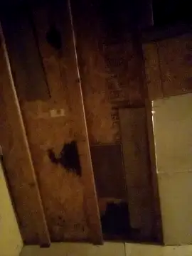 beliqi online show from 12-15-24, 01:24