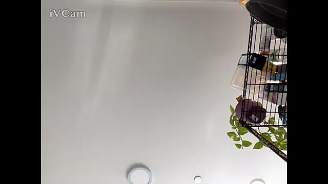 MisterHardCockk online show from 12-22-25, 07:03