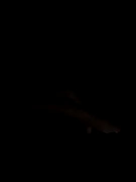 PEACHY439 online show from 11-13-25, 05:11