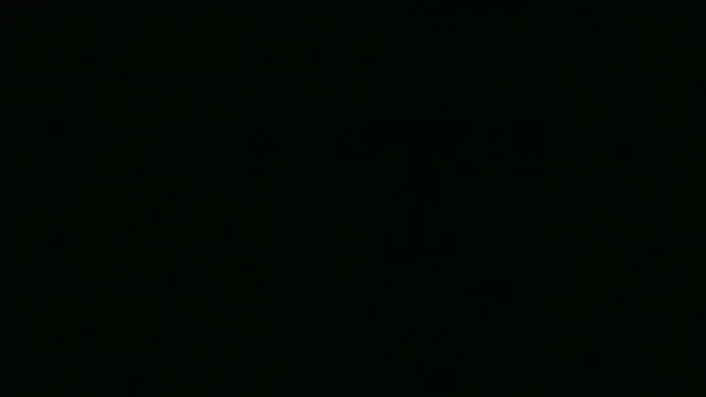 Garima G online show from 04-07-26, 02:08