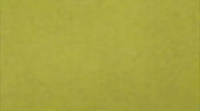 AnneGagner online show from 03-09-25, 06:32