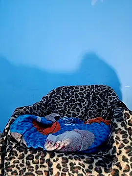 Snapshot of charlesss19 chatting on 03-20-25, 07:14 charlesss19 online show from 03-20-25, 07:14