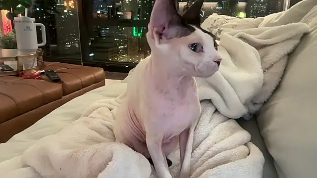 Graciemae baexx online show from 12-23-25, 03:50