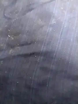 jellydicks online show from 03-10-26, 12:42