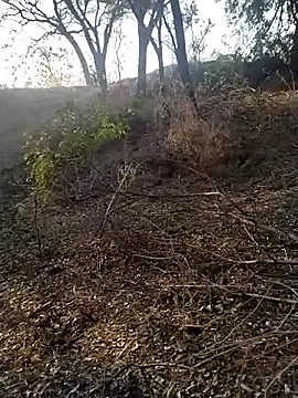 jellydicks online show from 02-21-26, 02:02