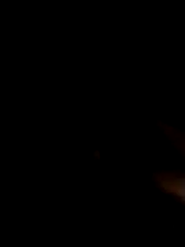 jellydicks online show from 06-14-26, 05:41