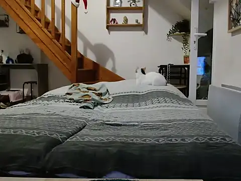 Lauzo21 online show from 12-05-25, 06:34