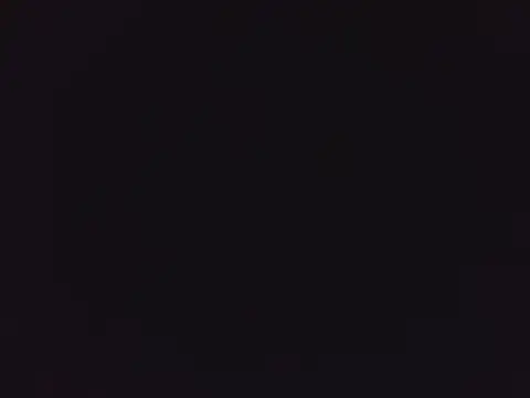 tripexnte online show from 03-08-25, 09:29