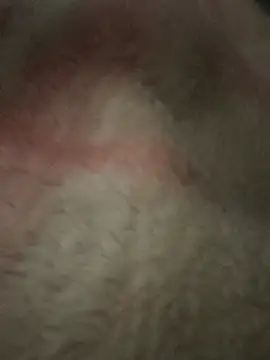 Juliano69xv online show from 12-19-25, 02:19